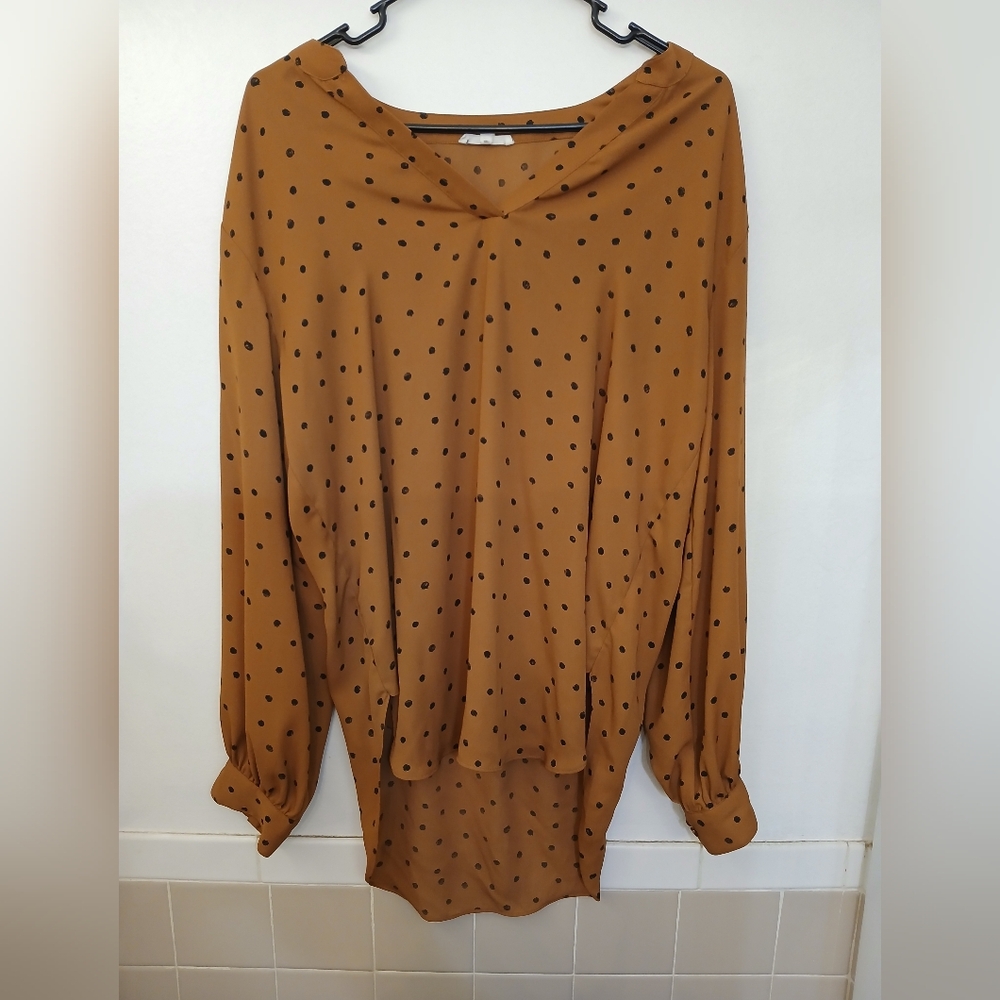 Maurice's Blouse